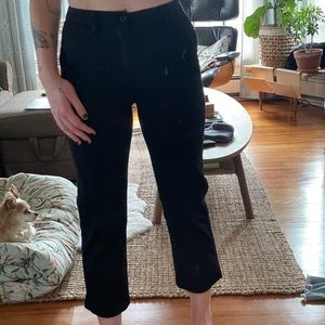 Brixton Carpenter Pant